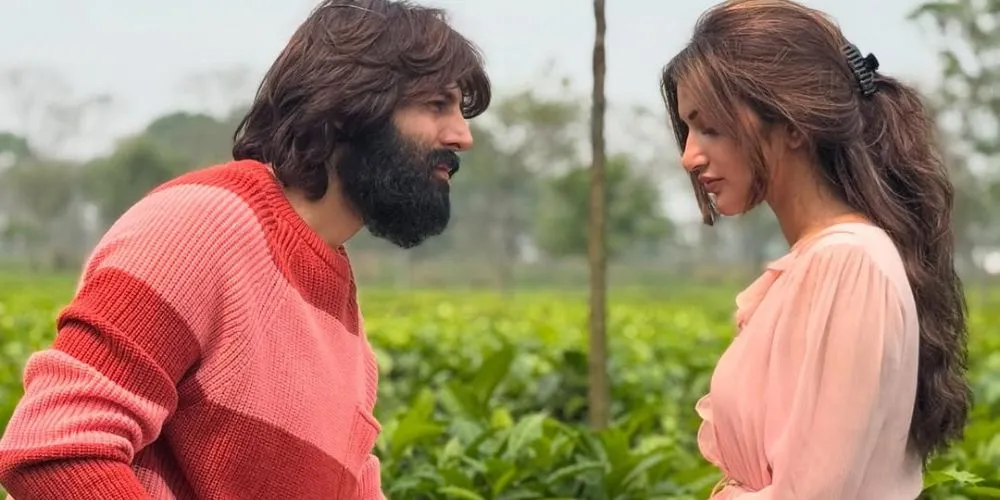 Kartik Aaryan and Sreeleela in Tu Meri Zindagi Hai